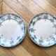 Lot 2 old porcelain plates of St Amand model Prima