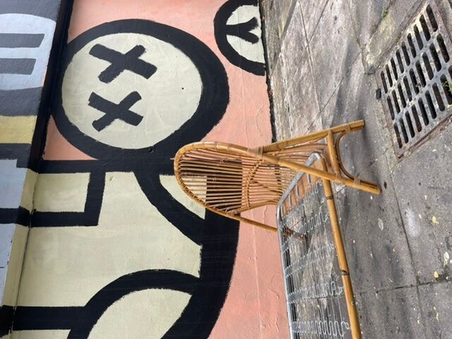 Rattan bed recycle bin