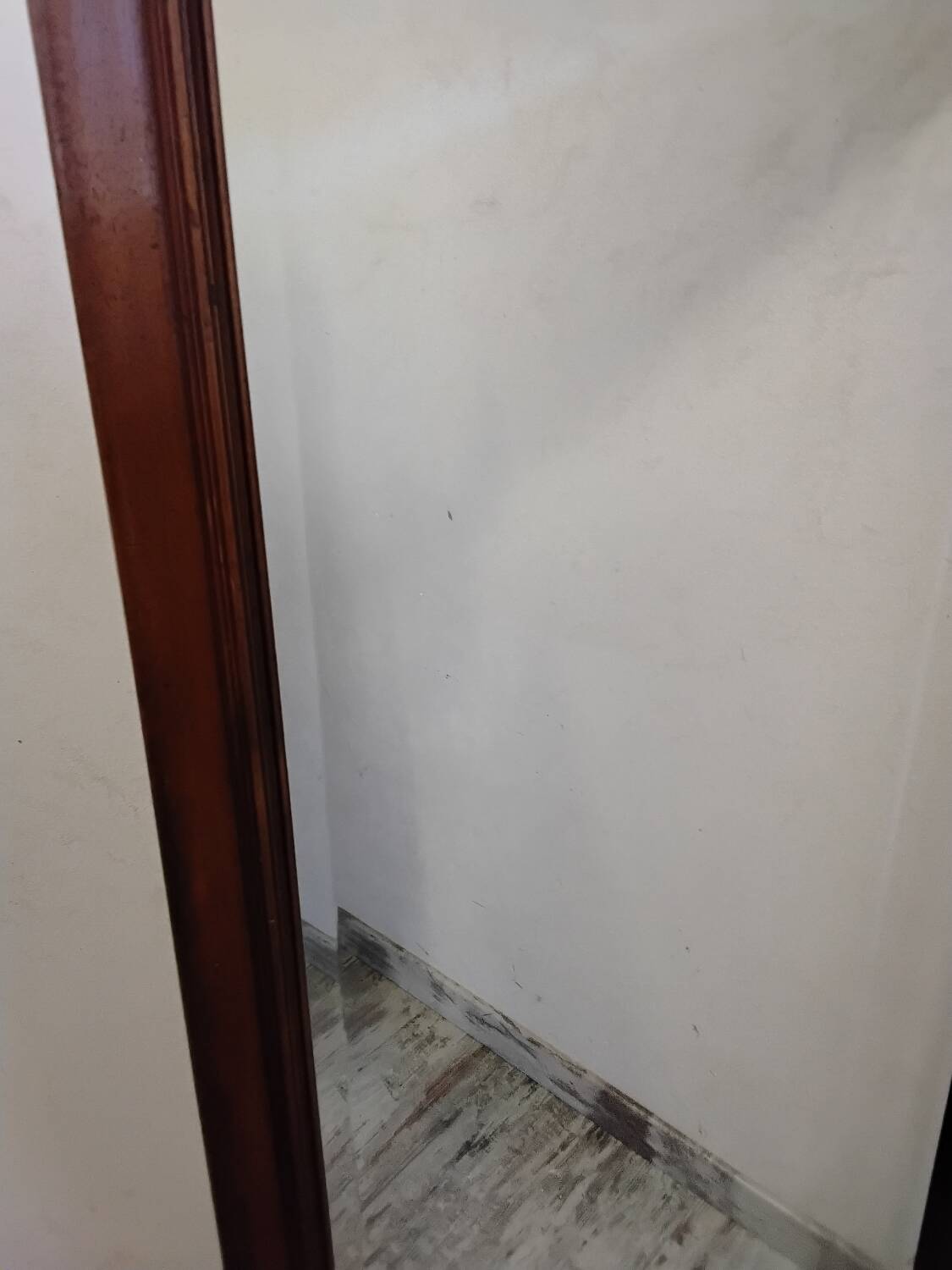 Large mirror/wardrobe door