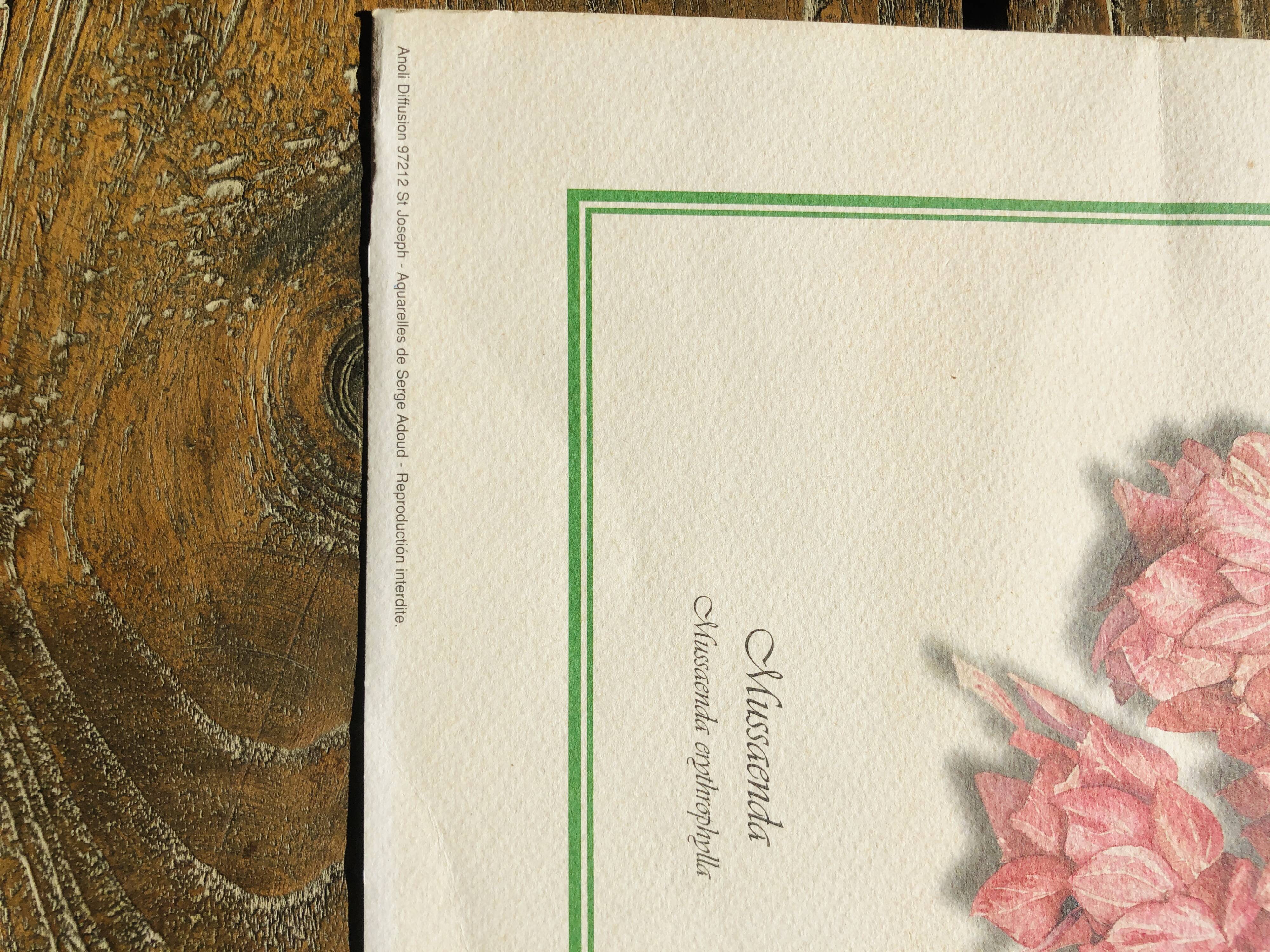 Old botanical poster