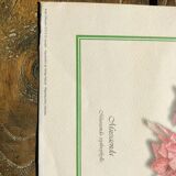 Old botanical poster