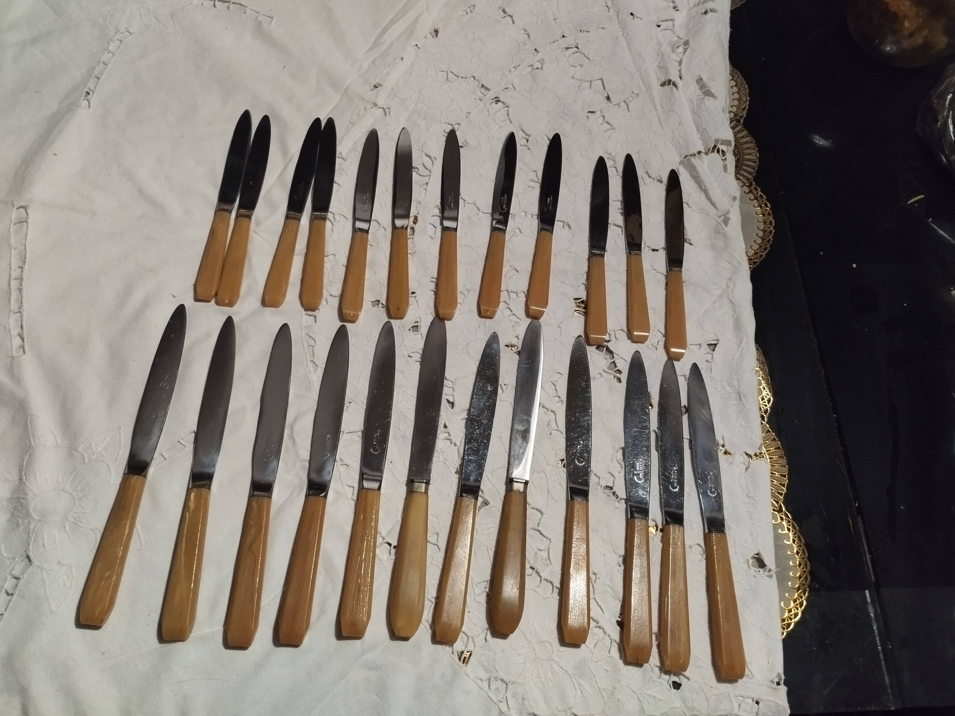 ménagère de couteaux en corne