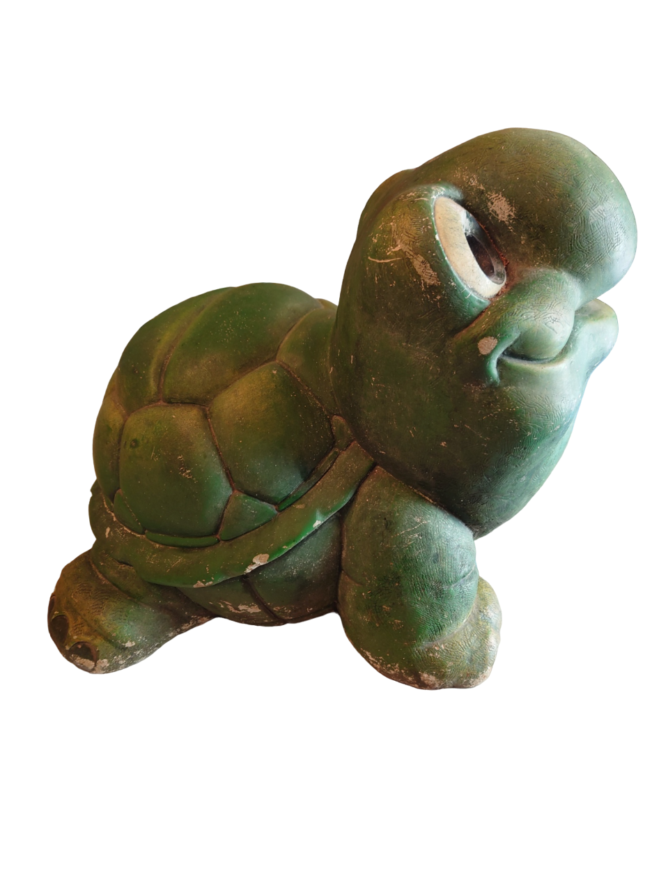 Green turtle in concrete