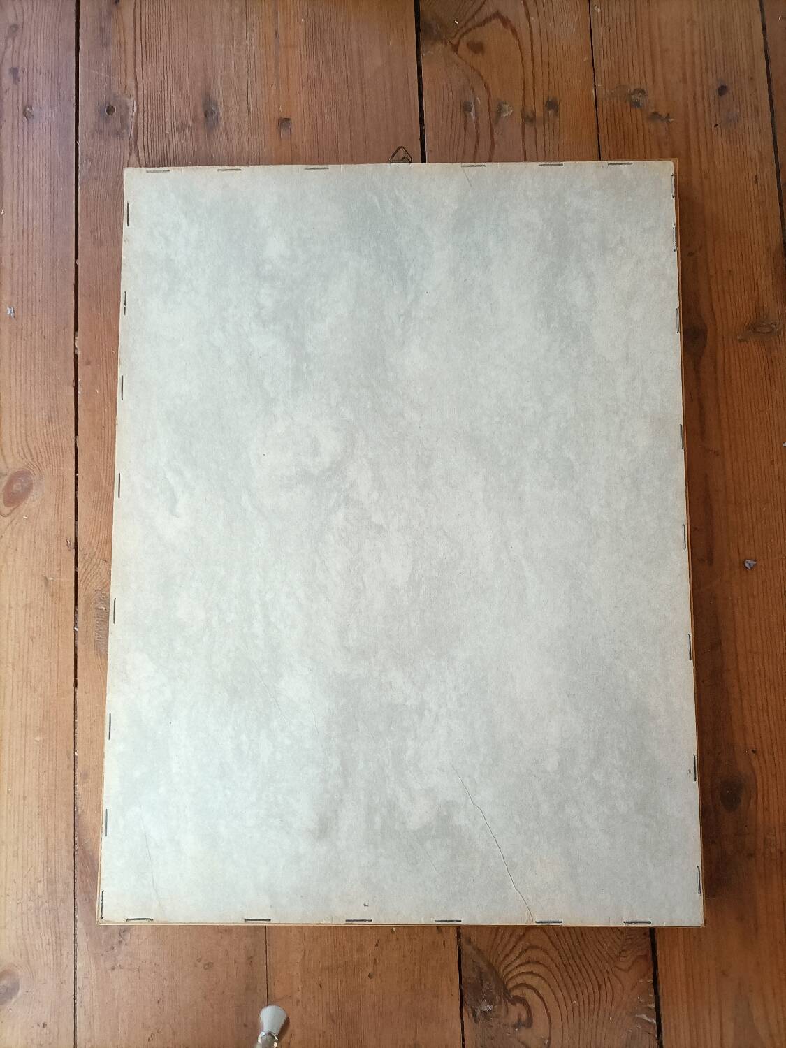 Lithograph PJ Redoute Old Rose