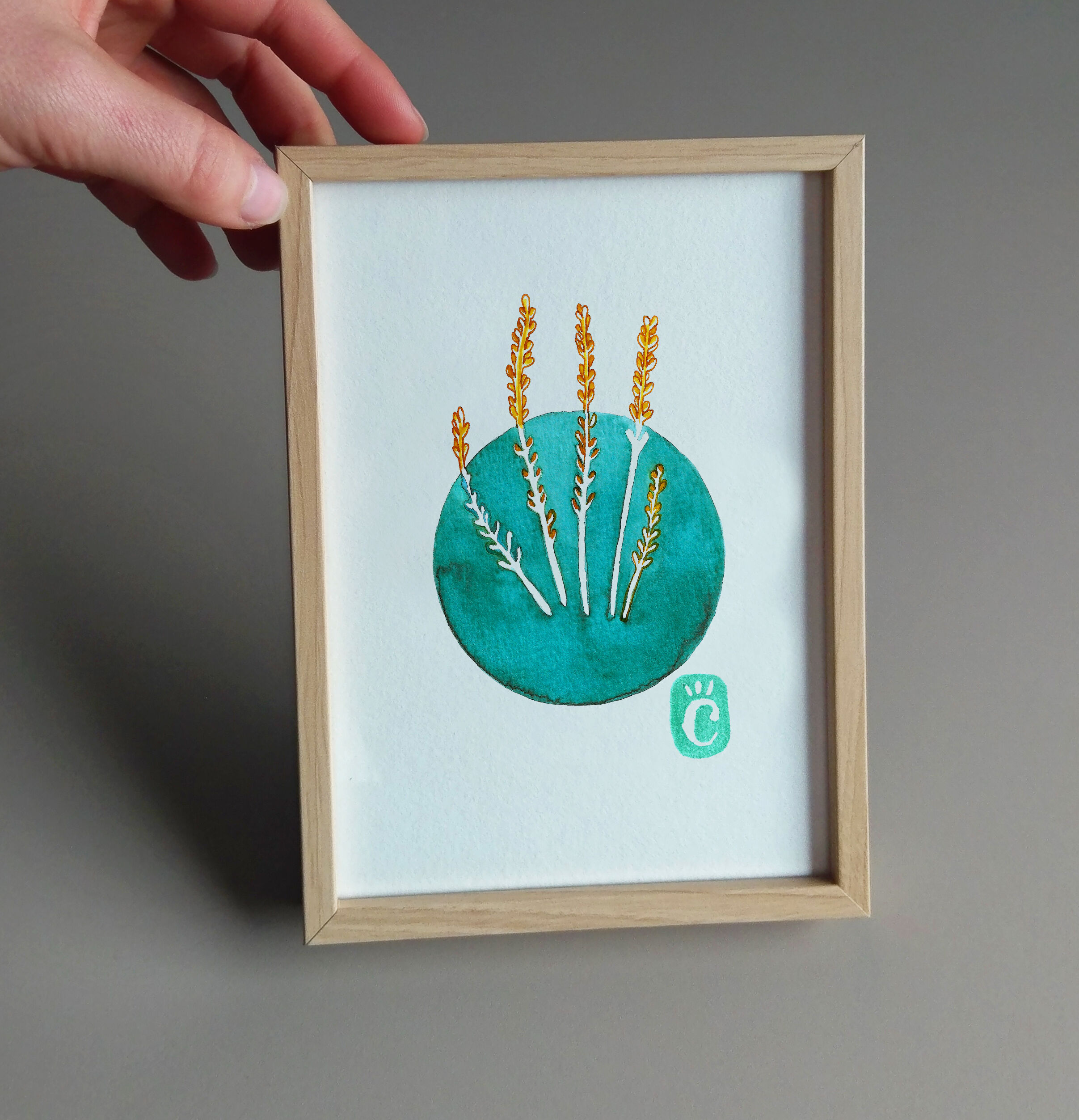 Heath - winter flower series