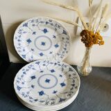 5 assiettes à fleurs bleues vintage