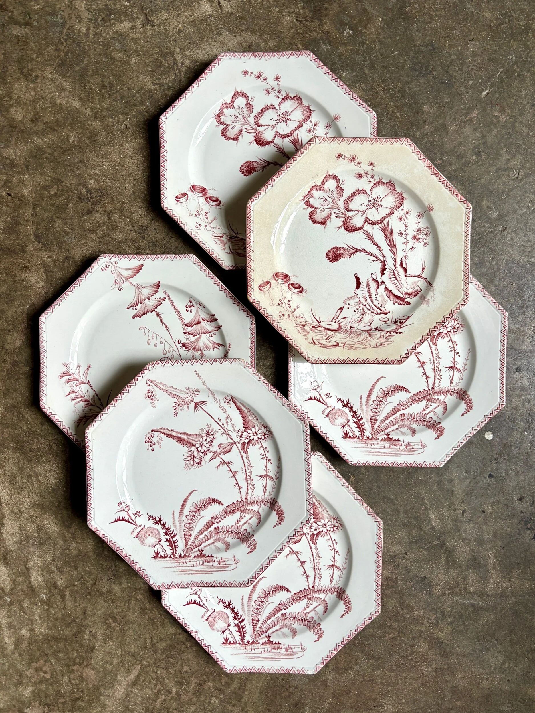 6 flat plates in ironstone Clairefontaine, "Indiana" service.