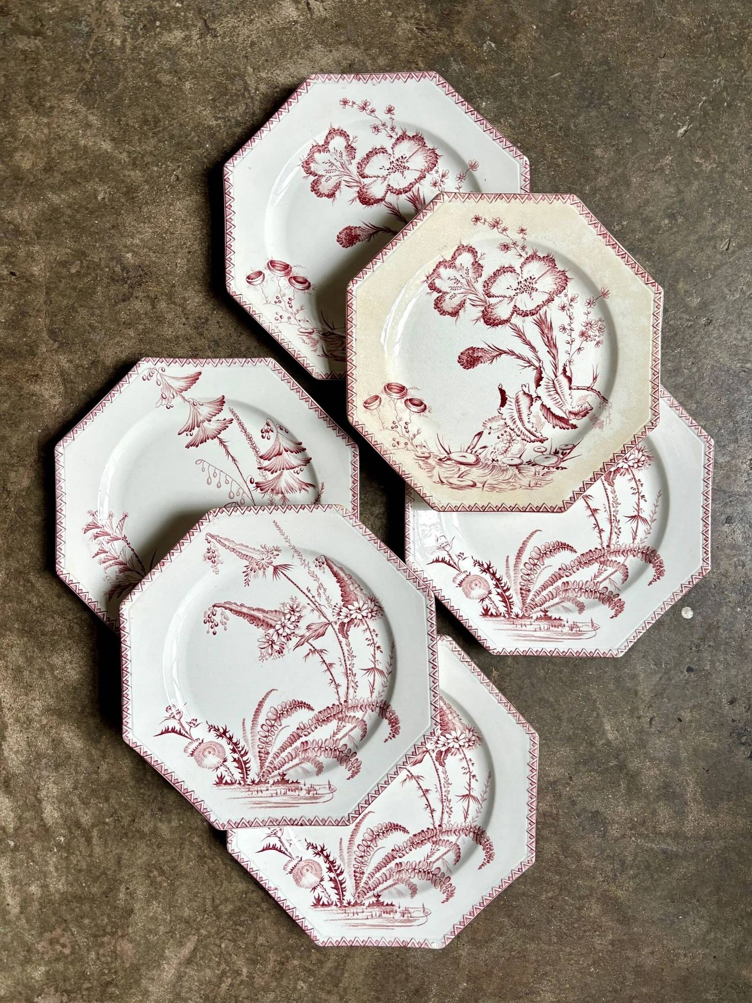 6 flat plates in ironstone Clairefontaine, "Indiana" service.