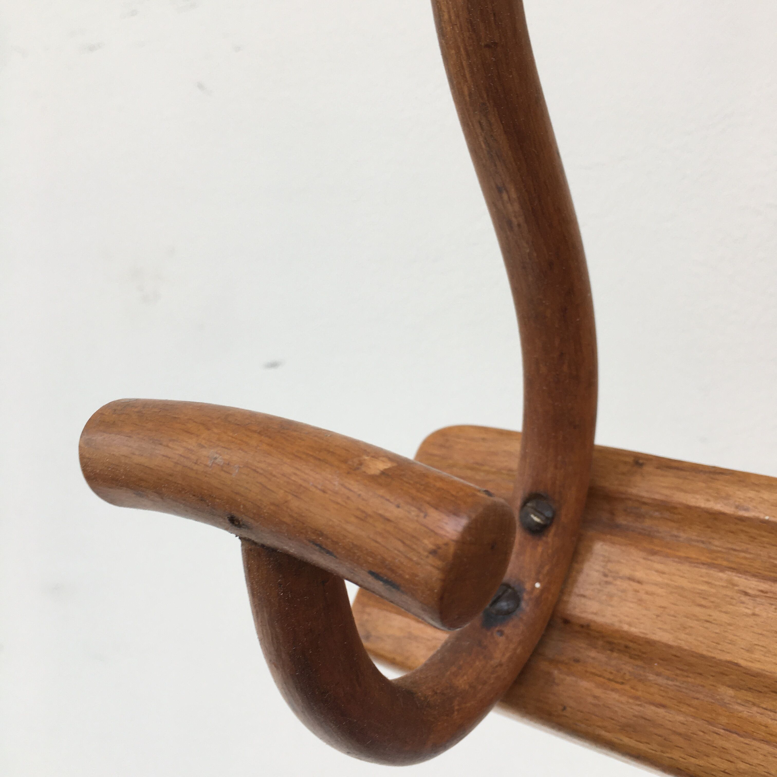 Wall door in curved wood Thonet