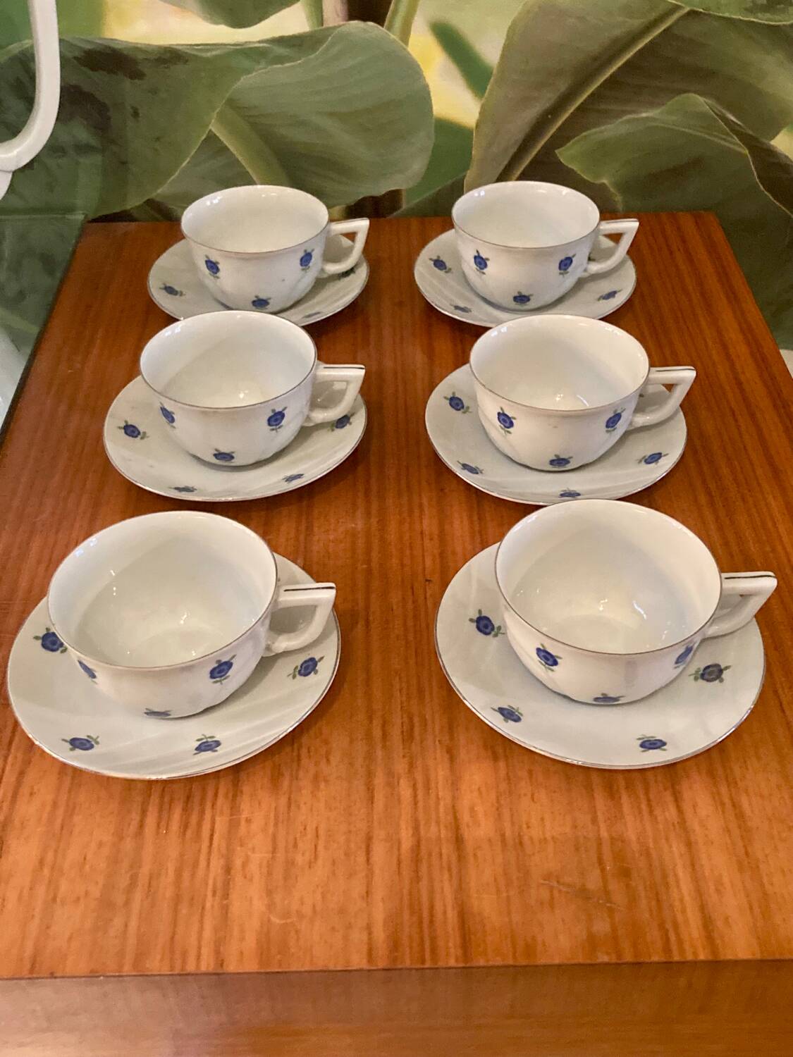 Retro Czechoslovakia Celadon Coffee Service