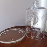 Glass bell and its dish