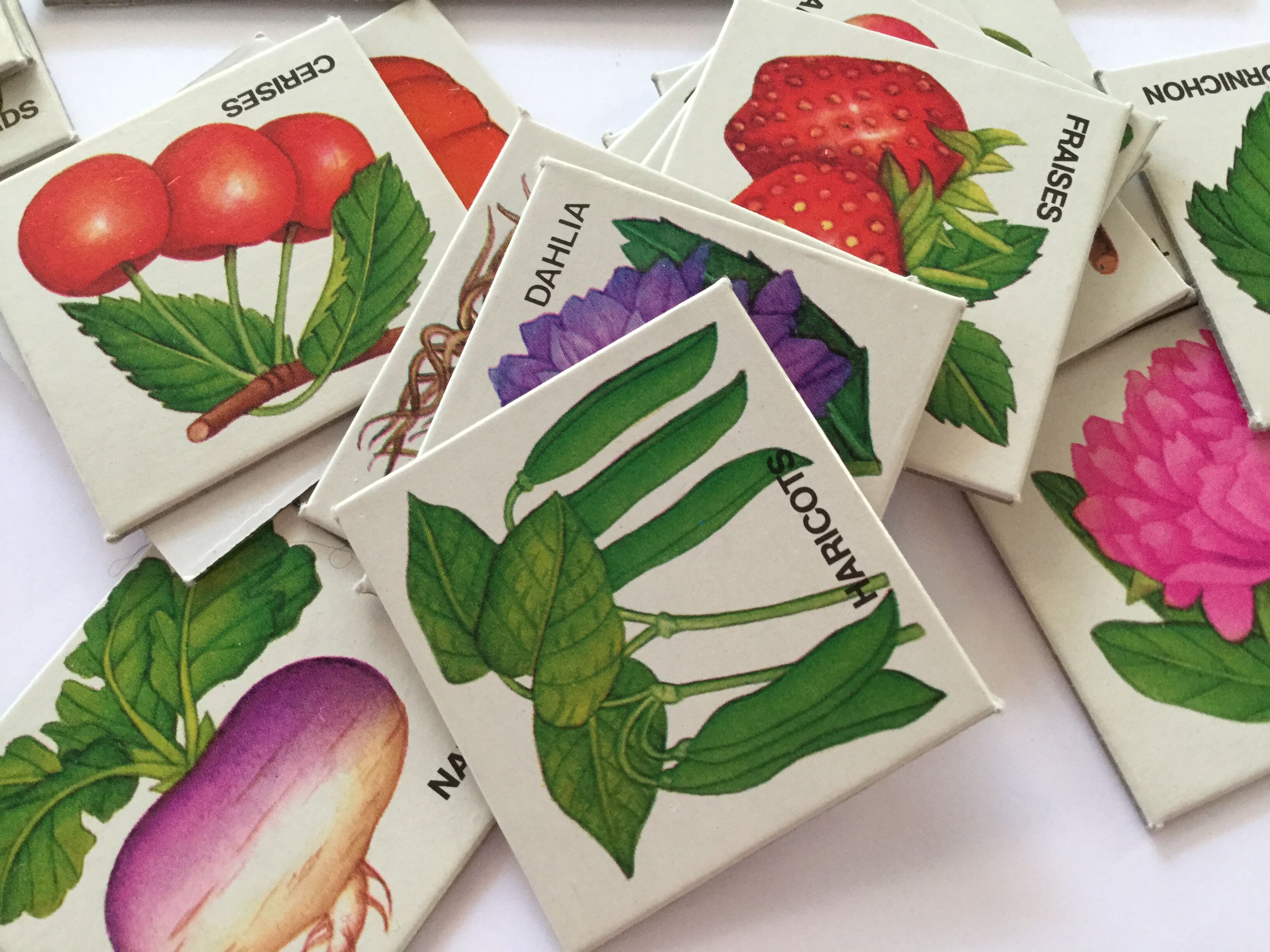 Lotto In the garden - card game