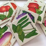Lotto In the garden - card game