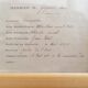 Herbarium boards late 19th