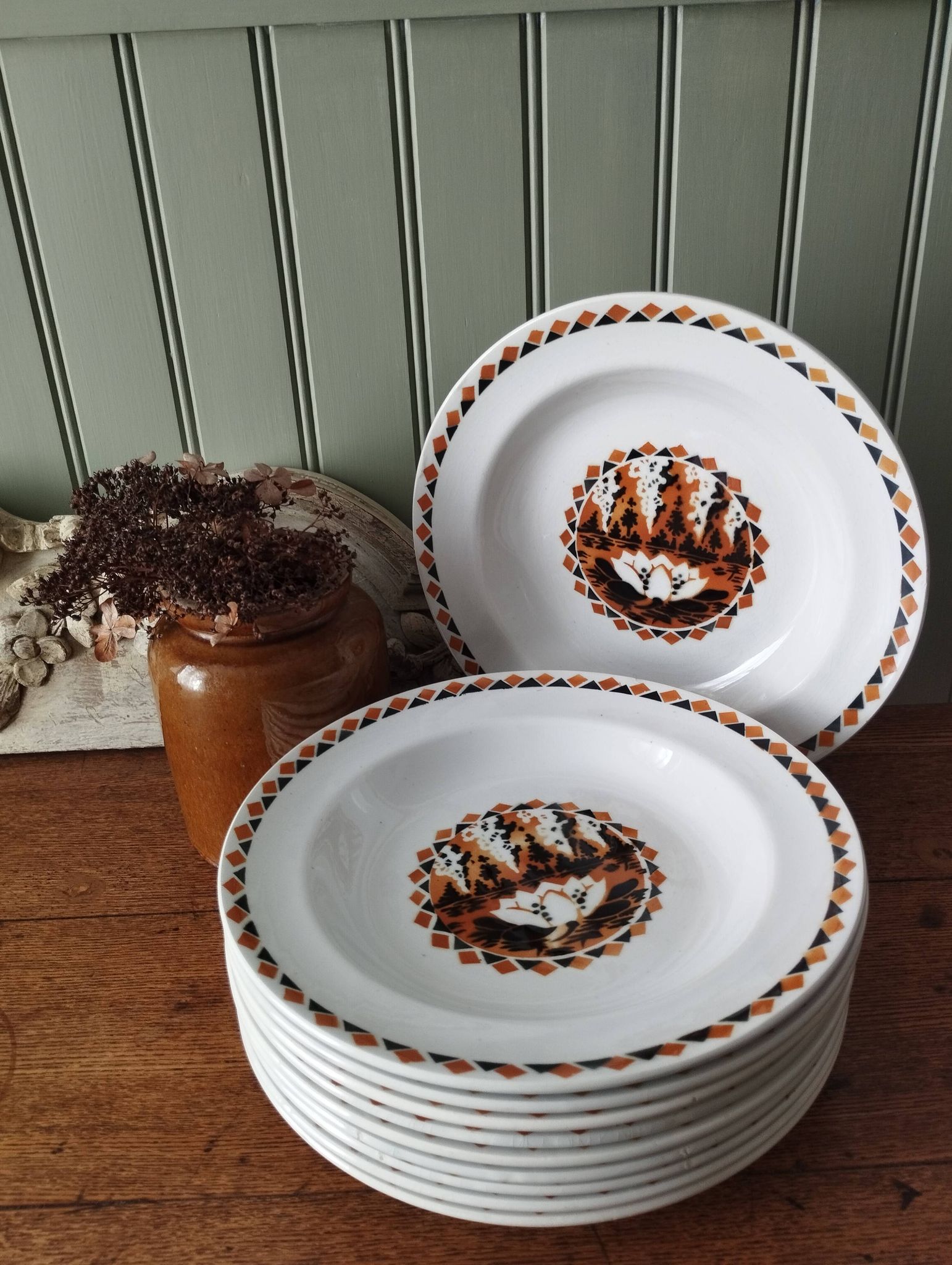 Set of 10 large ironstone Art Deco plates Saint-Amand Water Lily
