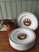 Set of 10 large ironstone plates Art Deco Saint-Amand Water Lily