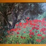Photo sous verre cadre bois  "champ de coquelicots"
