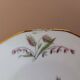 6 Limosa hard porcelain dessert plates (Limoges)