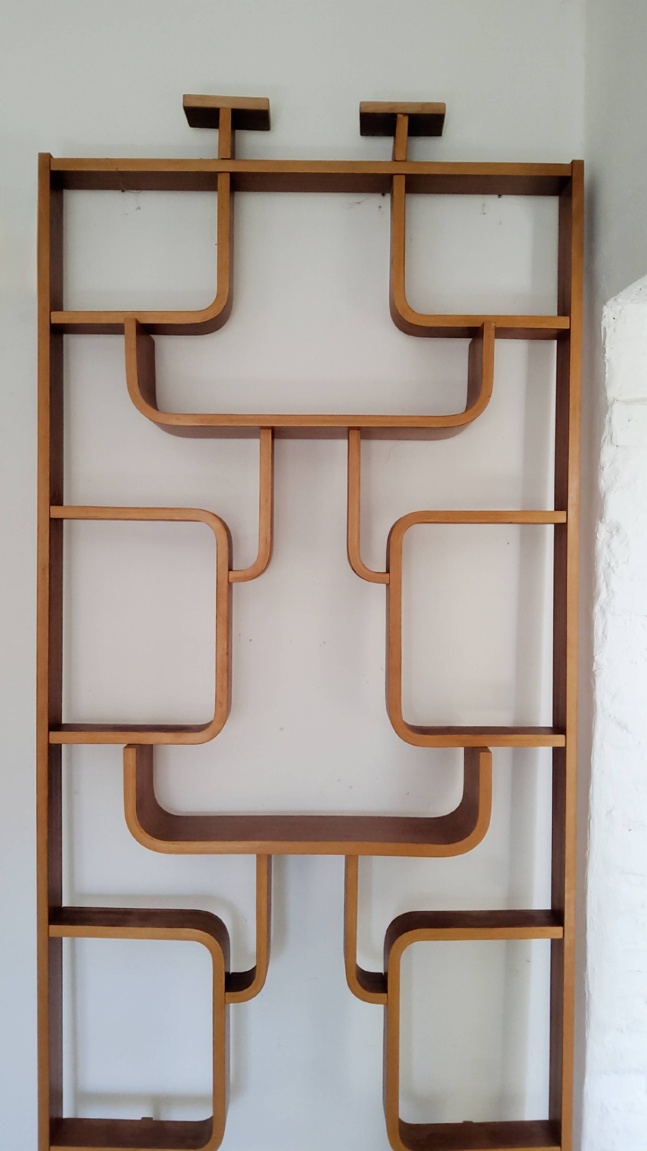 Vintage Czech screen by Ludvik Volak, 1960 for Drevopodnik Holesov