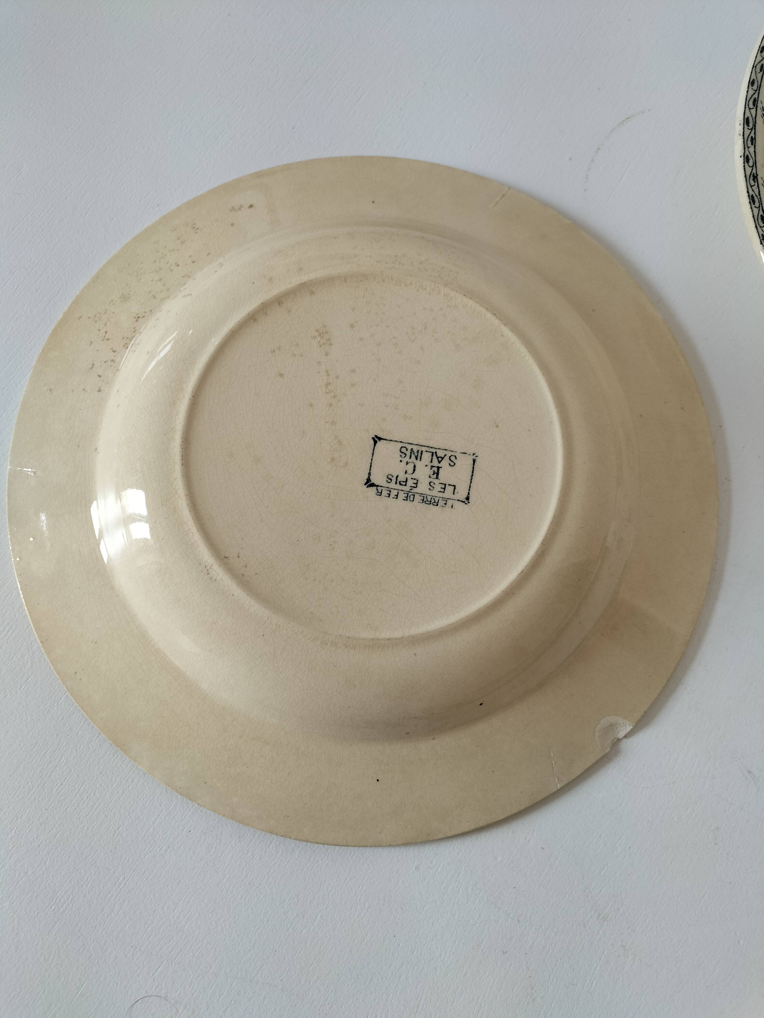 6 old E.C. Salins “Les Épis” ironstone soup plates