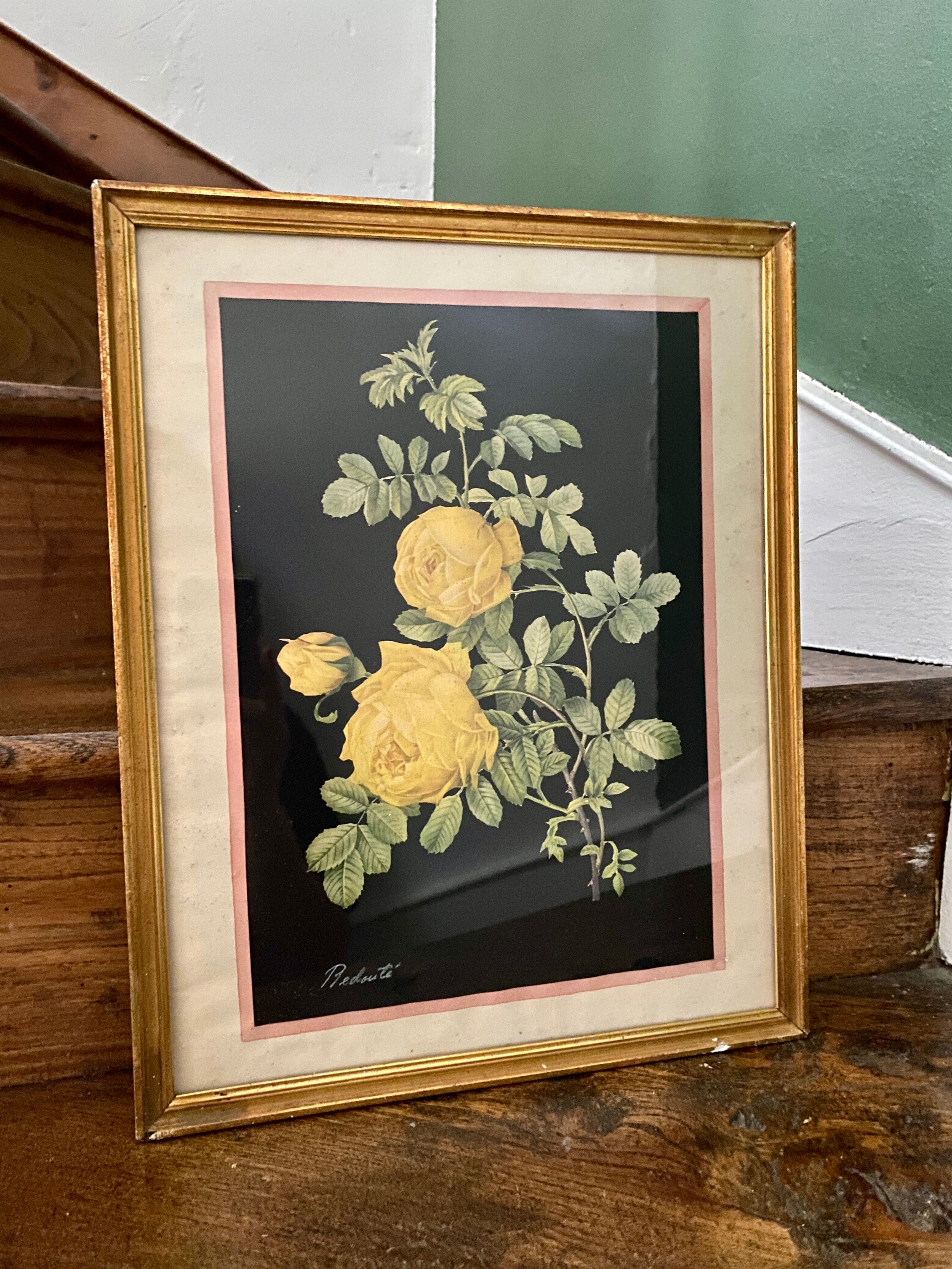 Framed poster vintage pinks yellow feared