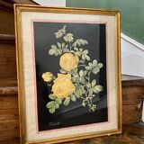 Framed poster vintage pinks yellow feared