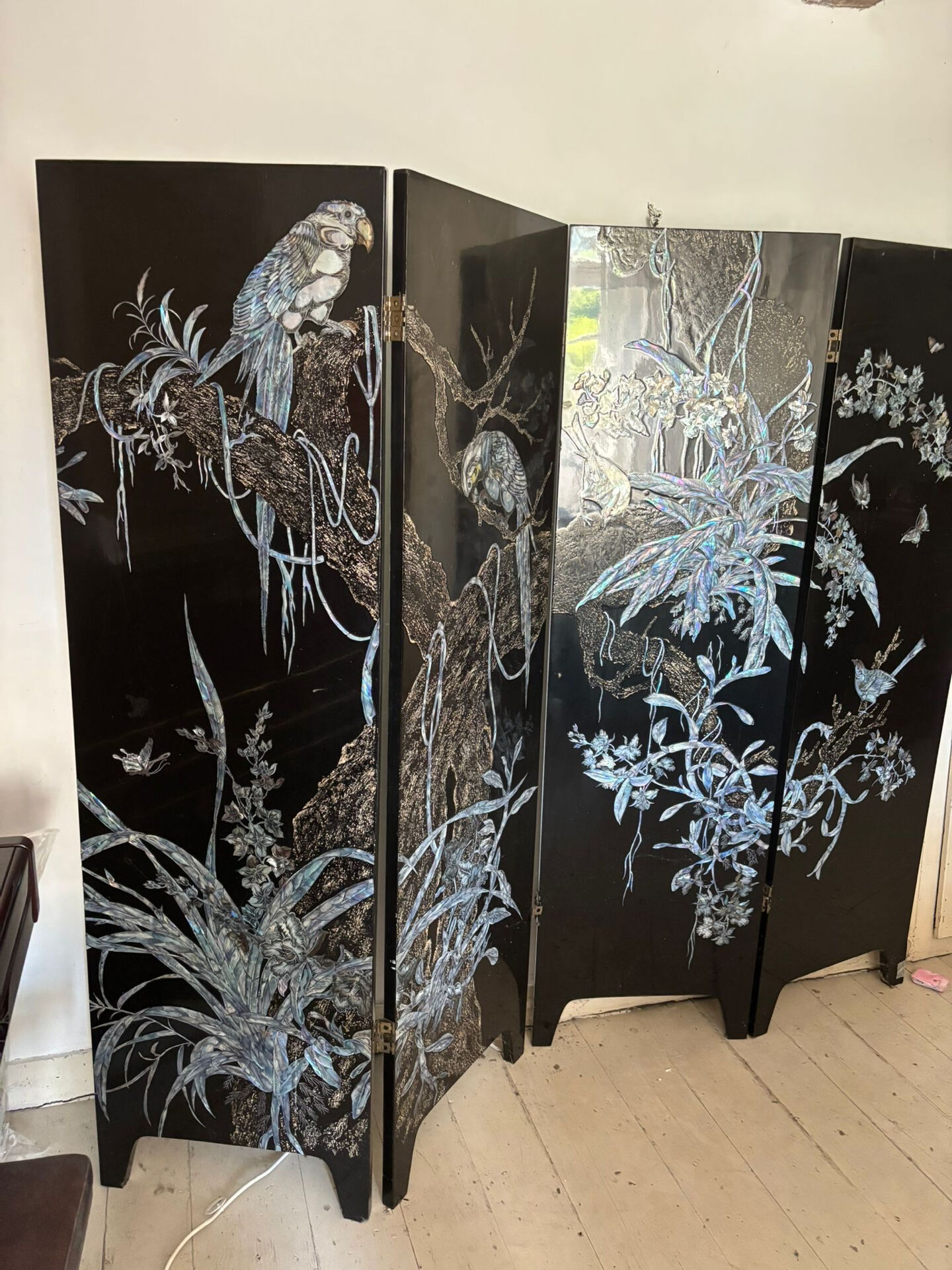 Asian screen (Vietnam - China)
