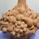 Terracotta fruit lamp 1970