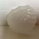 Empty scallop shell baguier