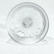 Baccarat - 10 champagne glasses catalogue 1841