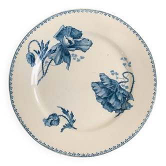 Assiette terre de fer