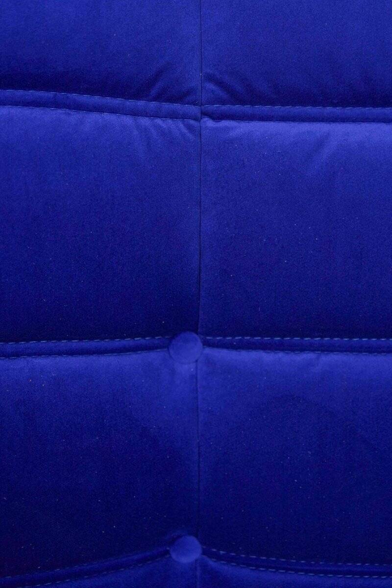 Togo two-seat in blue velvet by Michel Ducaroy for Ligne Roset