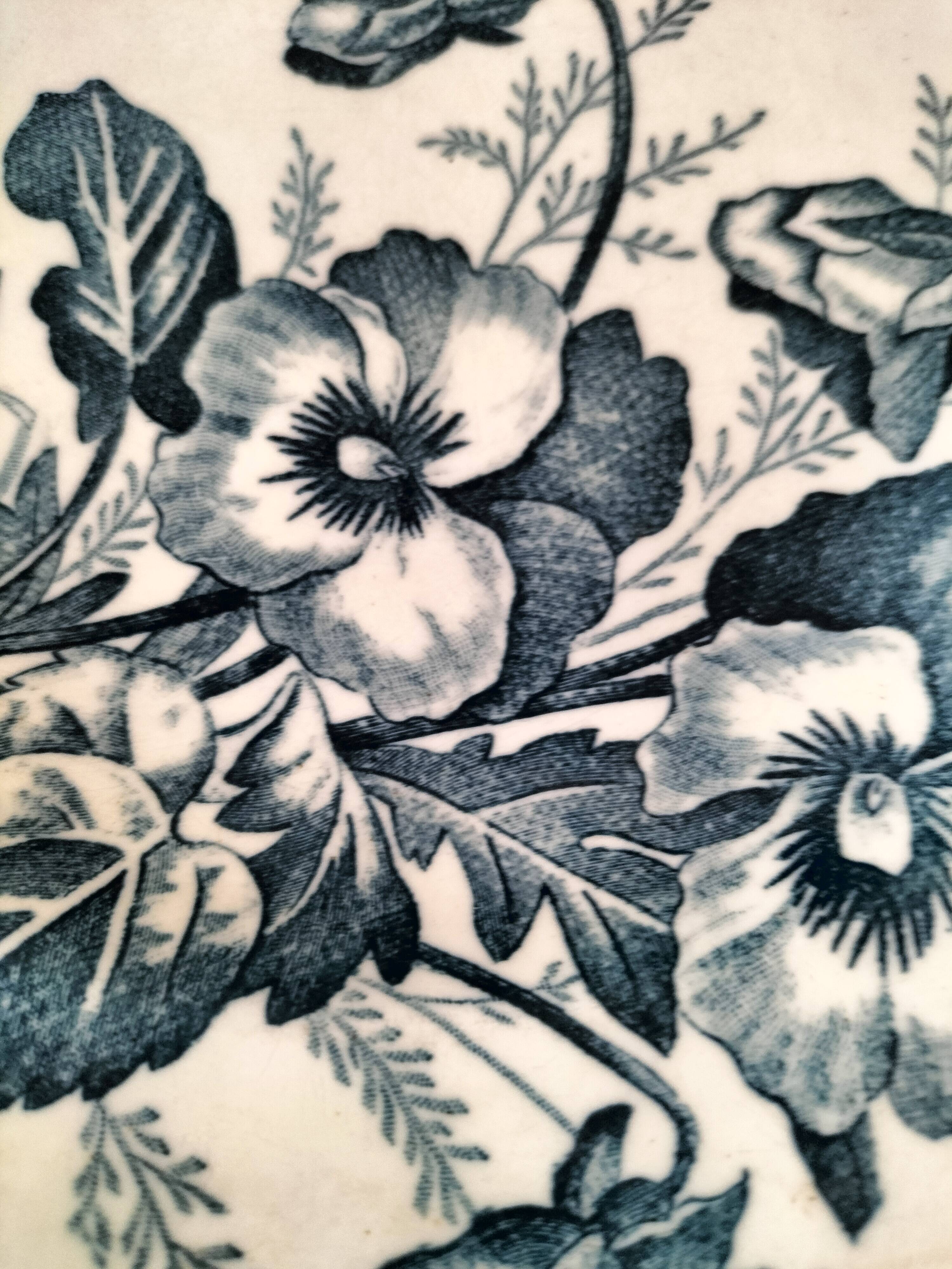 Set of 6 ironstone plates in shades of blue, late 19th to early 20th century.