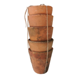 Terracotta seedlings