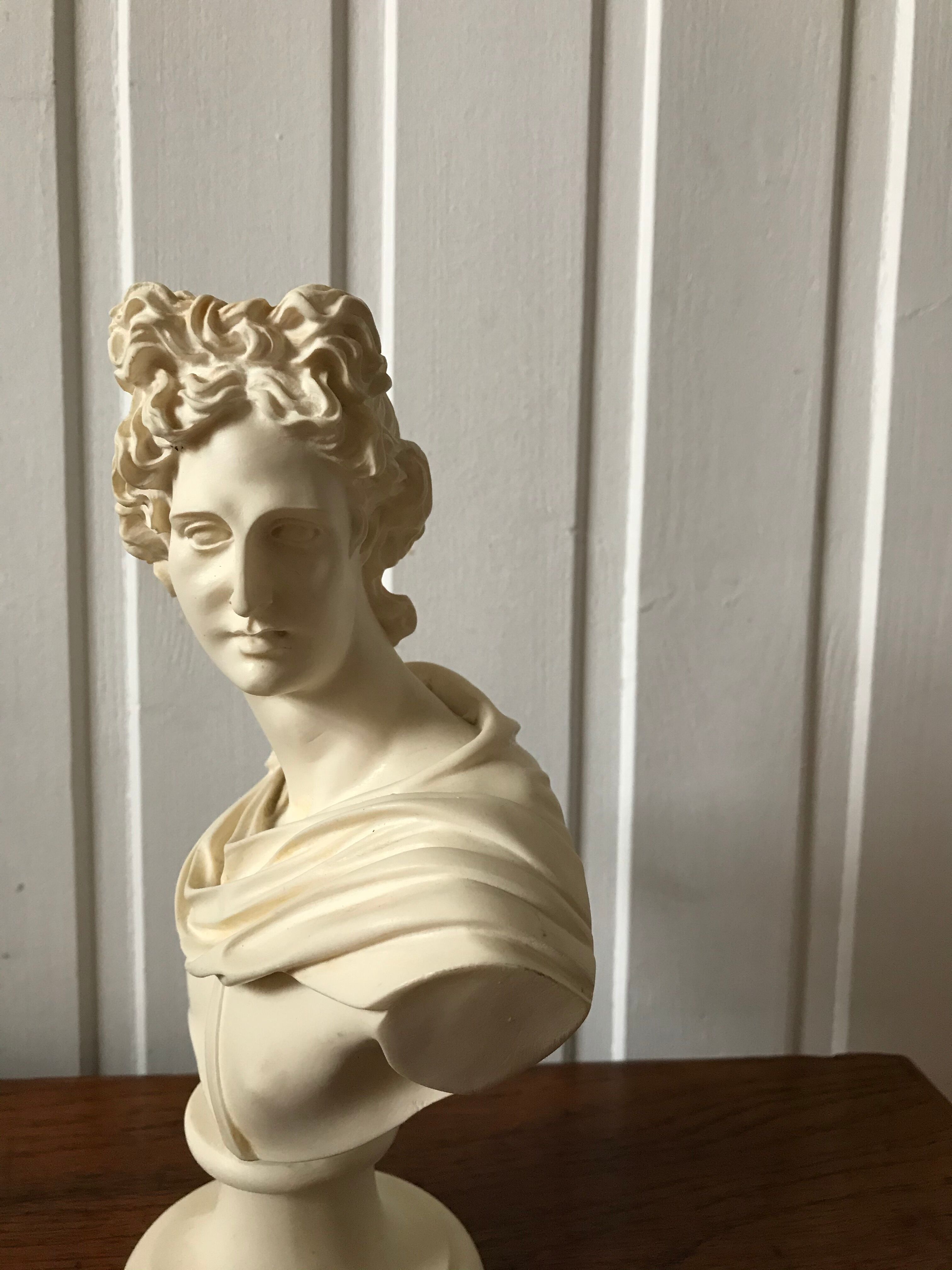 Apolon Bust