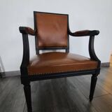 Fauteuils jacob de style louis XVI