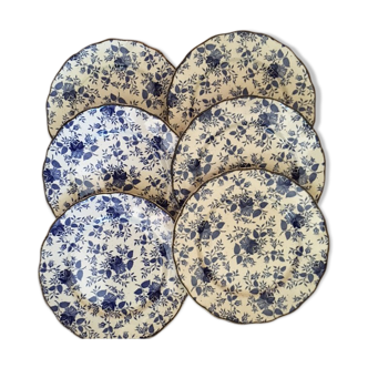 Lot 6 assiettes plates