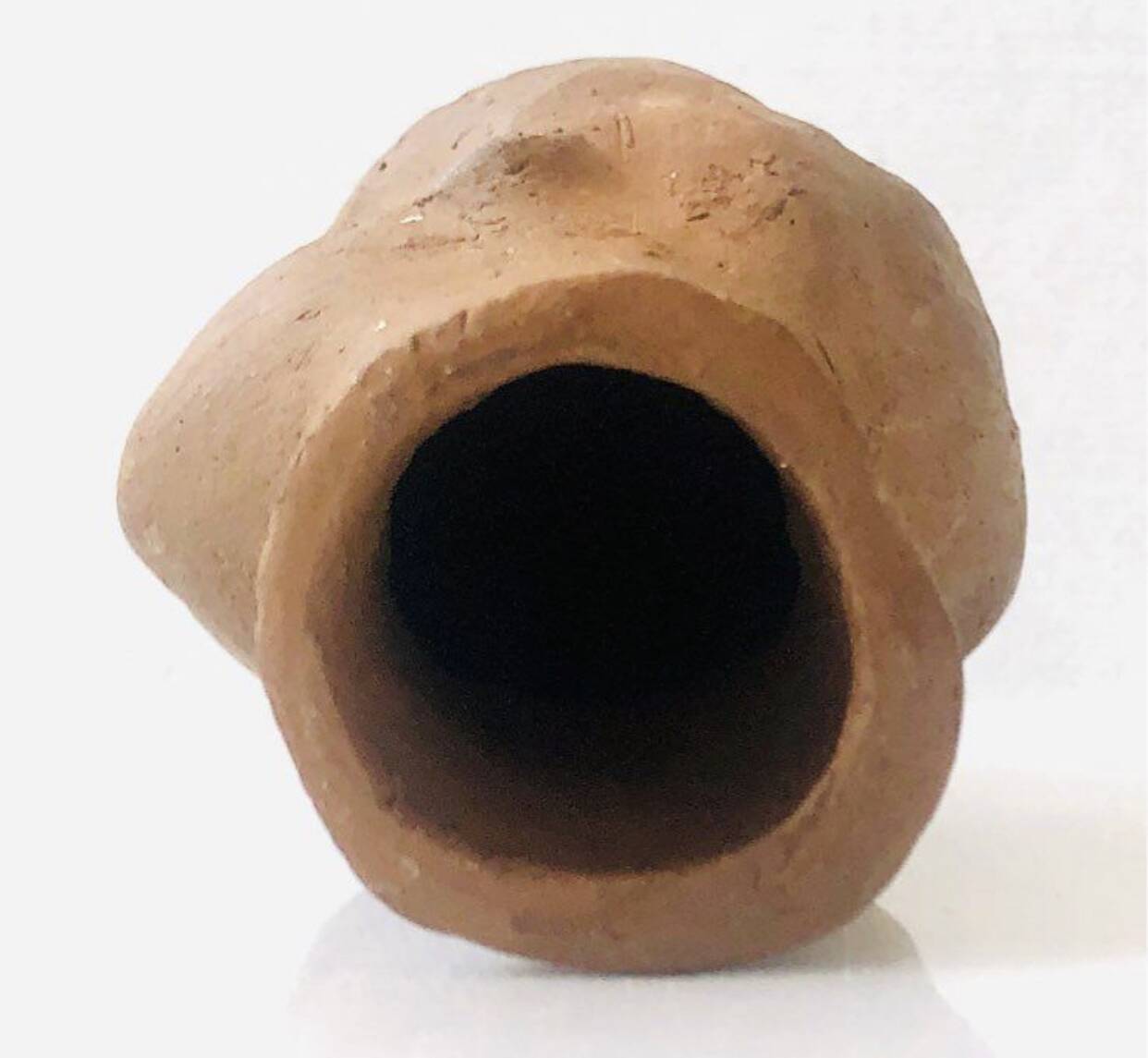 Tête de Femme Terre