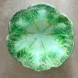 Cabbage slurry dish