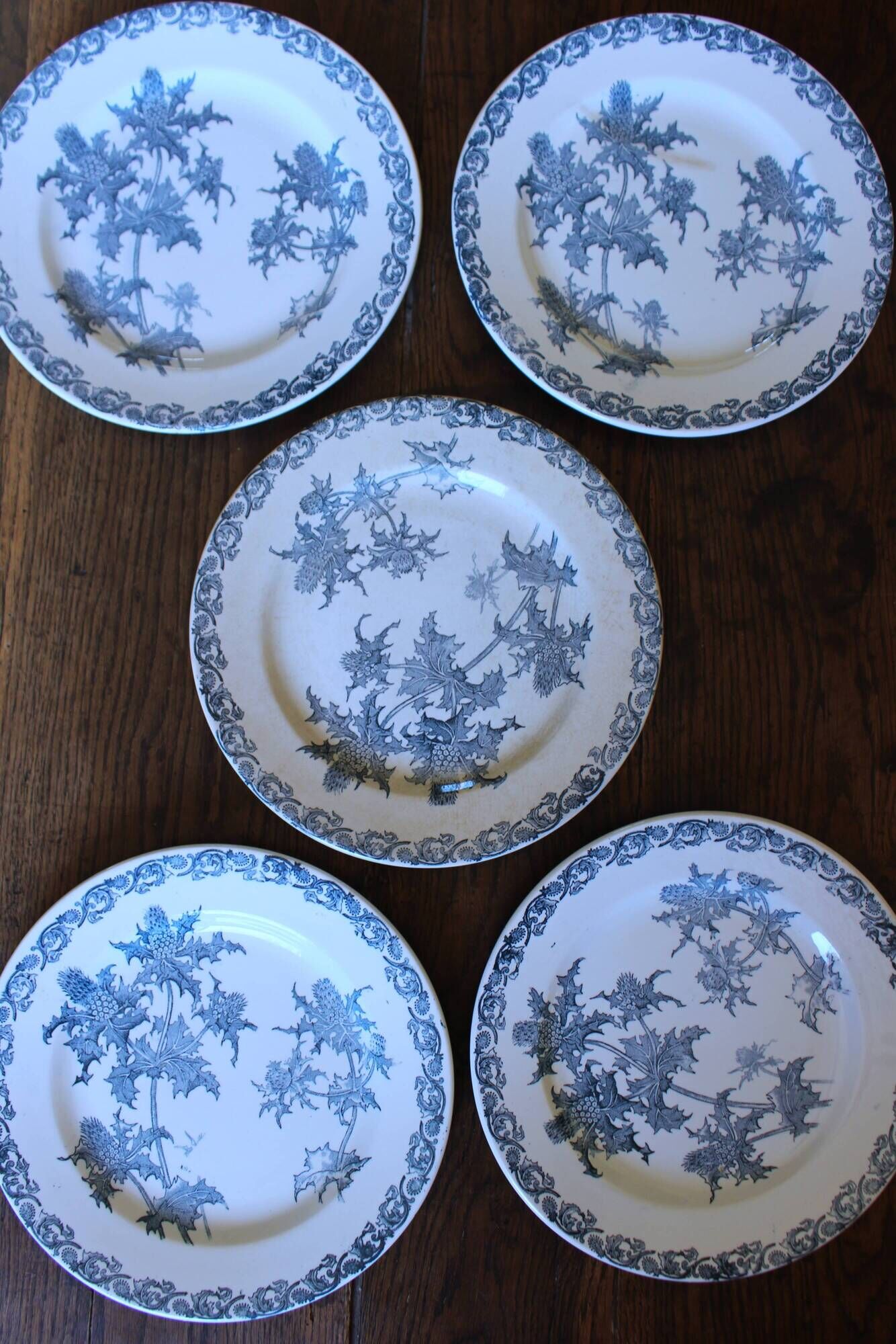 A set of 5 flat plates Chardon Bleu Terre de Fer Clairefontaine Righi
