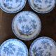 A set of 5 flat plates Chardon Bleu Terre de Fer Clairefontaine Righi