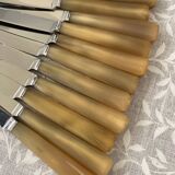 Set of 11 small knives L20cm