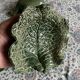 Cabbage leaf cups