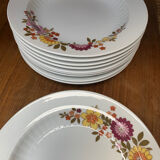 Lot 12 hollow plates porcelain Winterling