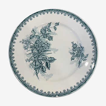 6 vintage plates