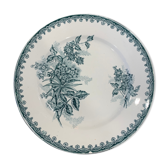 6 vintage plates