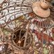 Vintage bird cage