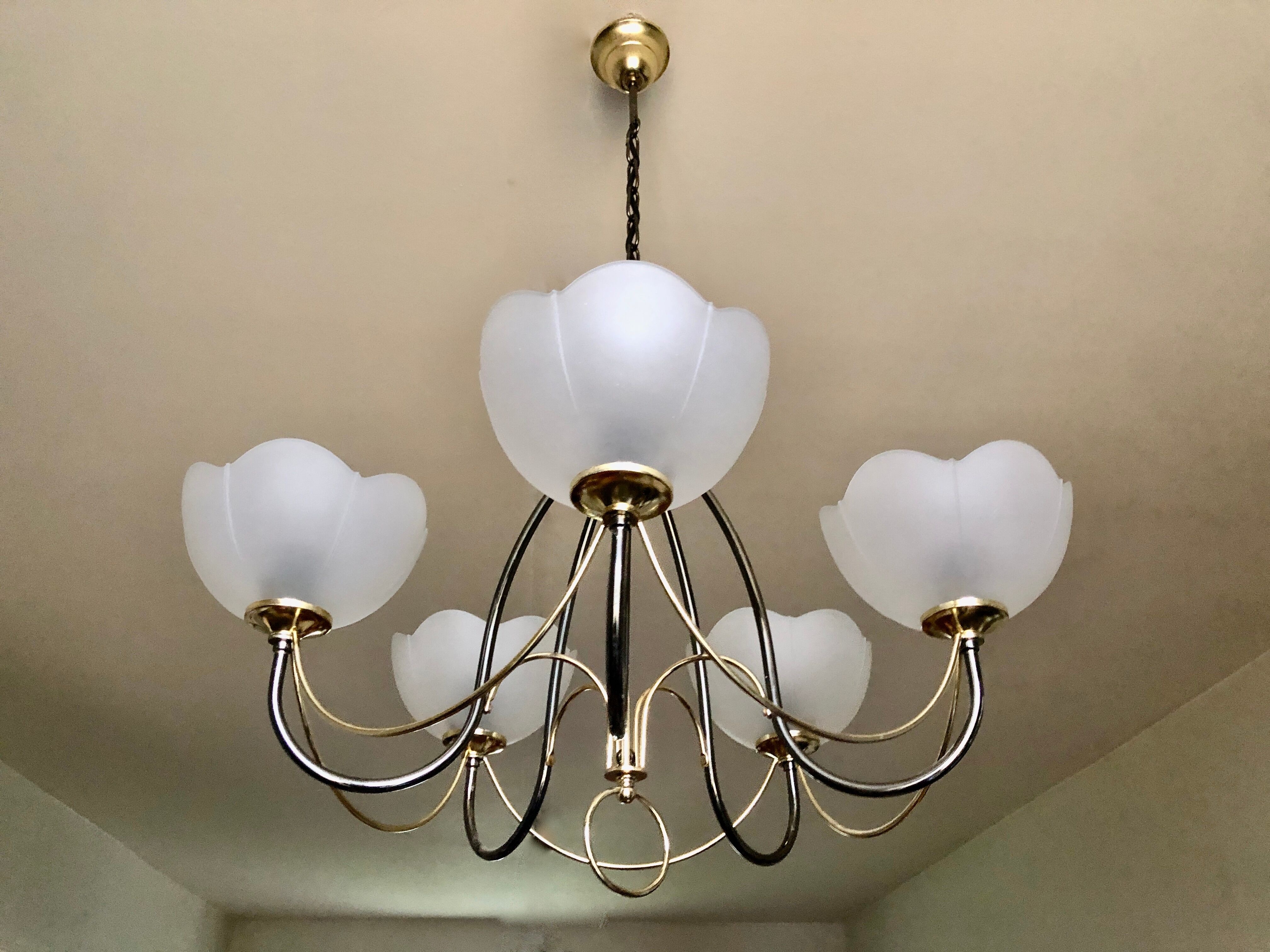 Italian chandelier gray and gold frosted glass flower