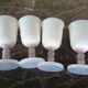 Set of 4 Sèvres crystal glasses
