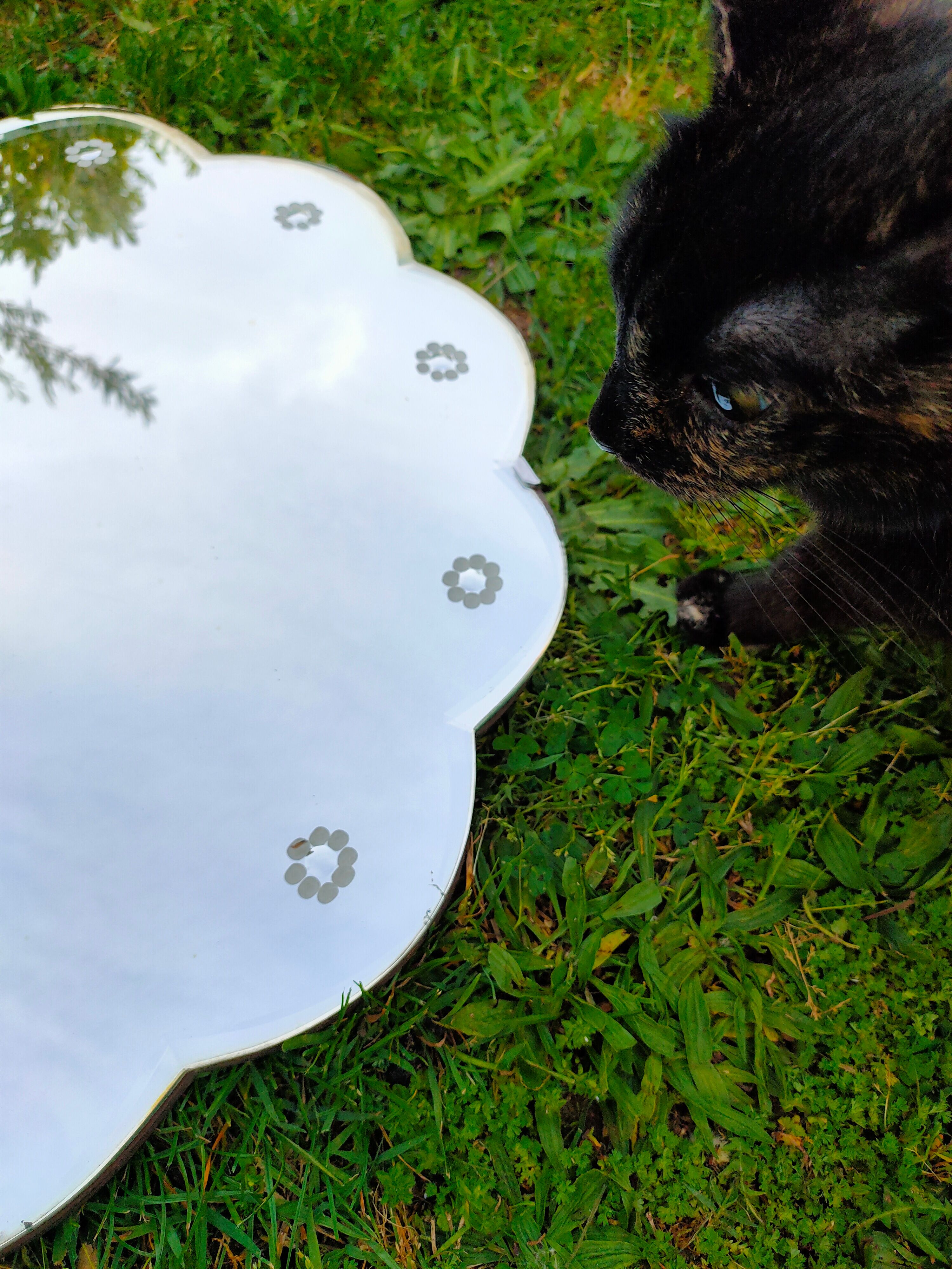 Miroir biseauté en forme de fleur années 50/60 59cm